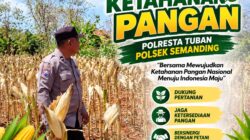 Polri Dukung Astacita, Polsek Semanding Polresta Tuban Turun Cek Tanaman jagung milik Warga di Desa Bektiharjo