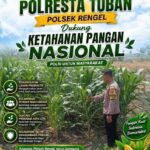 Polri Dukung Astacita, Polsek Rengel Polresta Tuban Turun Cek Tanaman Jagung Warga di Desa Sawahan