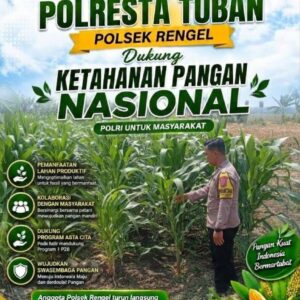 Polri Dukung Astacita, Polsek Rengel Polresta Tuban Turun Cek Tanaman Jagung Warga di Desa Sawahan