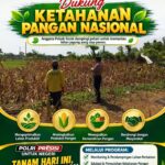 ANGGOTA POLSEK KEREK DAMPINGI PETANI PANTAU LAHAN JAGUNG SIAP PANEN, WUJUDKAN KETAHANAN PANGAN NASIONAL