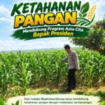 Polri Dukung Astacita, Polsek Merakurak Polresta Tuban Turun Cek Tanaman Jagung Warga di Desa Tuwiri Wetan