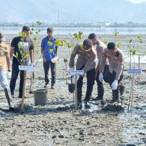 Kapolres Bima Kota Tanam Mangrove di Pantai Lawata, Wujud Kepedulian terhadap Kelestarian Lingkungan