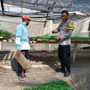 Bhabinkamtibmas Bagik Papan Cek Bibit Pertanian, Dukung Program Ketahanan Pangan