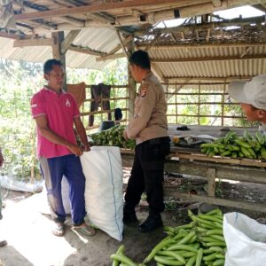 Bhabinkamtibmas Bagik Payung Selatan Sambangi Petani, Dorong Ketahanan Pangan