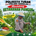 Anggota Bhabinkamtibmas Polsek Senori Polresta Tuban Lakukan Pemantauan Tanaman Jagung Warga Desa Leran Dukung Program Ketahanan Pangan