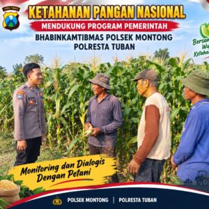 Mendukung Asta Cita Presiden bhabinkamtibmas Polsek Montong Polresta Tuban Pantau Kodisi Tanaman Jagung Milik Warga Desa pakel