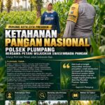 Polsek Plumpang Polresta Tuban Turun Langsung Cek Tanaman Jagung Warga