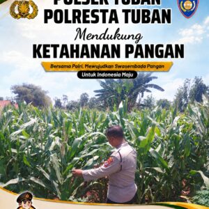 Dukung Ketahanan Pangan, Polsek Tuban Turun Langsung Pantau Tanaman Jagung