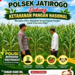 Dukung Asta Cita, Polsek Jatirogo Turun Langsung Pantau Ladang Jagung Warga Desa Jatiklabang