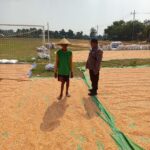 Dukung Ketahanan Pangan, Aipda Listiyono Pantau Proses Penjemuran Jagung Petani Desa Tergambang