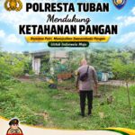 Polsek Tuban Monitoring Lahan Warga, Dukung Program Ketahanan Pangan
