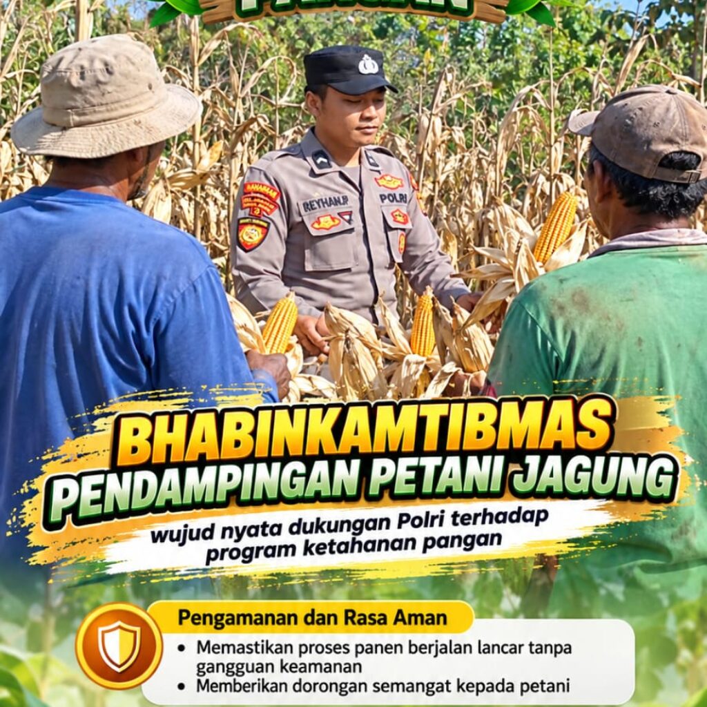 Mendukung Program Ketahanan Pangan, Bhabinkamtibmas Monitoring Pertumbuhan Jagung