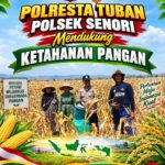 Polisi RW Polsek Senori Polresta Tuban Turun ke Ladang, Bantu Warga Desa Medalem Panen Jagung