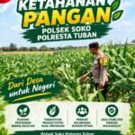 TURUN KE LAPANGAN, ANGGOTA POLSEK KEREK BANTU PETANI PANEN JAGUNG DI DESA BINAAN