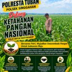 Anggota Polsek Singgahan Polresta Tuban Turun Cek Tanaman jagung Warga di Desa Lajo lor