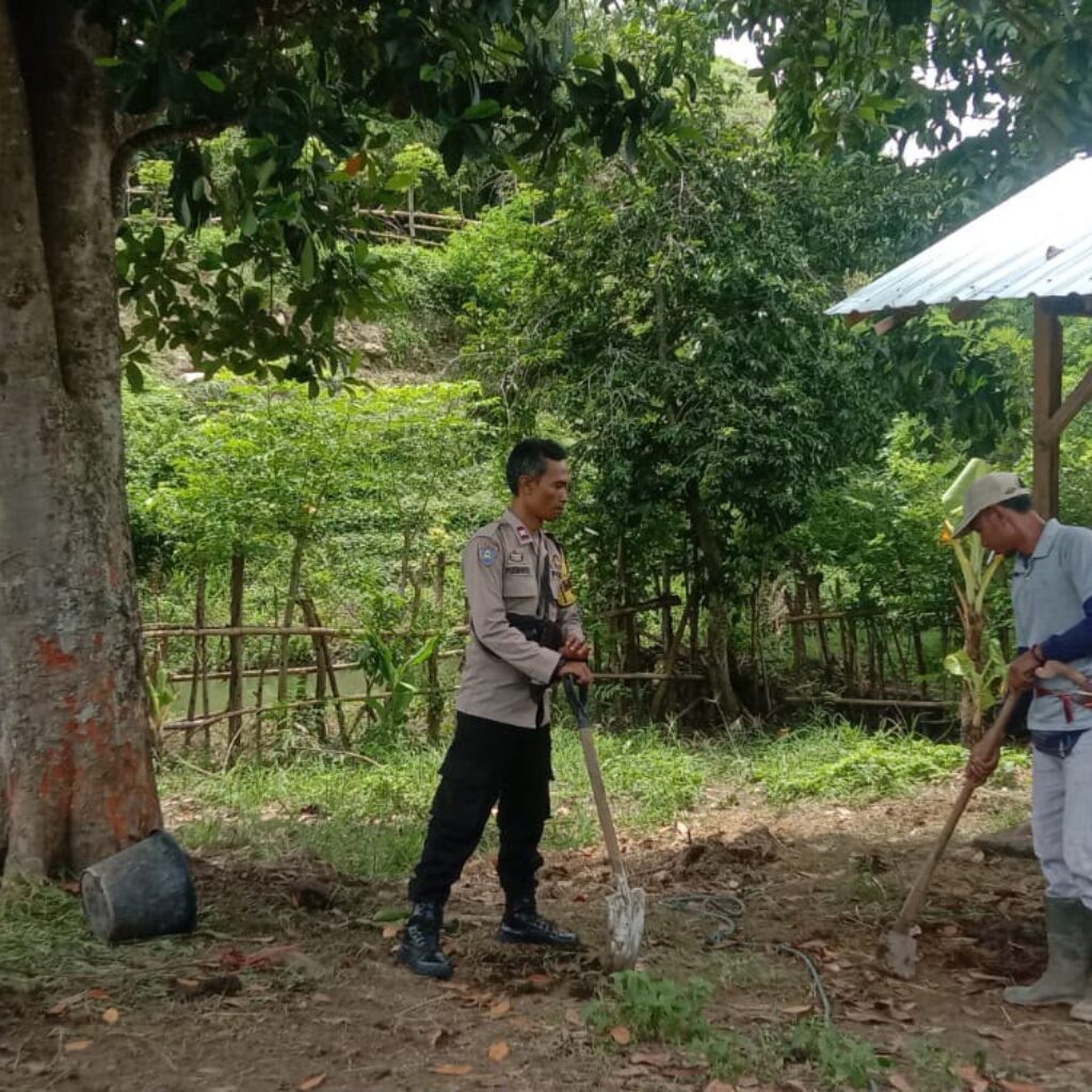 Dukung Ketahanan Pangan, Bhabinkamtibmas Rababaka Bantu Warga Kelola Lahan Peternakan Sapi