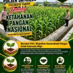 Polsek Jatirogo Turun ke Lahan produktif Desa Kebonharjo Wujudkan Dukungan Astacita Swasembada Pangan