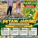 Polsek Parengan Polresta Tuban Pantau Lahan Jagung Warga Desa Pacing Dukung Program Astacita