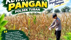 Polsek Tuban Dukung Ketahanan Pangan melalui Sambang dan Monitoring Lahan Pertanian