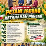 Mendukung Program Ketahanan Pangan, Bhabinkamtibmas Monitoring Pertumbuhan Jagung