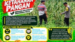 Anggota Polsek Singgahan Polresta Tuban Turun Cek Tanaman jagung Warga di Desa Mulyorejo