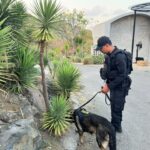 Cegah Ancaman Bom, Unit K-9 Sisir Area Pengamanan MotoGP Mandalika
