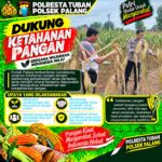 Dukung Astacita, Polsek Palang Polresta Tuban Pantau Langsung Lahan Jagung milik warga Desa Tegalbang