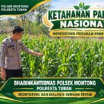 Mendukung Asta Cita Presiden bhabinkamtibmas Polsek Montong Polresta Tuban Pantau Kodisi Tanaman Jagung Milik Warga Desa pakel