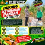 Dukung Astacita, Polsek Palang Polresta Tuban Pantau Langsung Lahan Jagung milik warga Desa Dawung