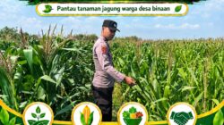 Dukung Ketahanan Pangan Nasional
