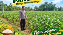 Polri Dukung Astacita, Polsek Merakurak Polresta Tuban Turun Cek Tanaman Jagung Warga di Desa Tuwiri Wetan