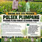 Polsek Plumpang Polresta Tuban Turun Langsung Cek Tanaman Jagung Warga
