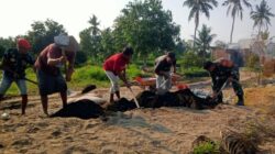Sertu Muhasim Turun Tangan, Warga Peteluan Indah Makin Kompak