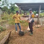 Dukung Ketahanan Pangan Nasional, Bhabinkamtibmas Desa Labangka Sambangi Pekarangan Warga dan Beri Motivasi Petani Cabai