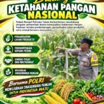 Polri Dukung Astacita, Polsek Rengel Polresta Tuban Turun Cek Tanaman Jagung Warga di Desa Pekuwon