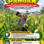Mendukung Program Ketahanan Pangan, Bhabinkamtibmas Monitoring Pertumbuhan Jagung