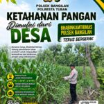 Dukung Program Ketahanan Pangan, Polsek Bangilan Monitoring Pertumbuhan Tanaman Jagung