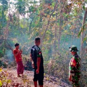 Kebakaran Hutan di Mareje Hanguskan 40 Hektare Lahan