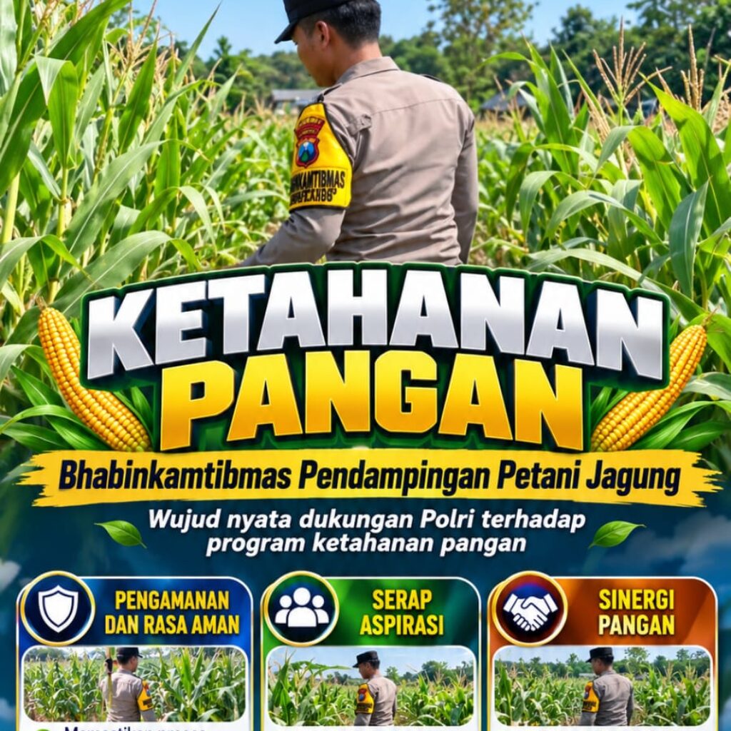 Mendukung Program Ketahanan Pangan, Bhabinkamtibmas Monitoring Pertumbuhan Jagung