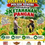 Bhabinkamtibmas Polsek Senori Polresta Tuban Pantau Tanaman Jagung Warga Desa Sendang Guna Dukung Ketahanan Pangan Nasional