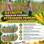 Dukung Astacita, Polsek Palang Polresta Tuban Pantau Langsung Lahan Jagung milik warga Desa Dawung