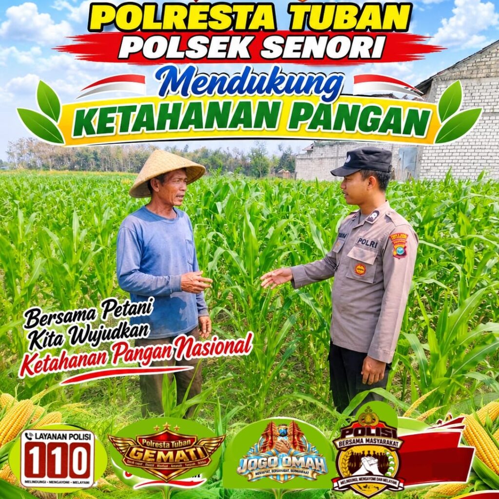 Anggota Bhabinkamtibmas Polsek Senori Polresta Tuban Lakukan Pemantauan Tanaman Jagung Warga Desa Jatisari Dukung Program Ketahanan Pangan