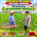 Anggota Bhabinkamtibmas Polsek Senori Polresta Tuban Lakukan Pemantauan Tanaman Jagung Warga Desa Jatisari Dukung Program Ketahanan Pangan