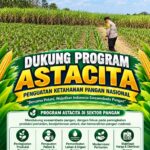 Dukung Astacita, Polsek Jatirogo Cek Langsung Ladang Jagung Warga Desa Bader