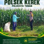 “BHABINKAMTIBMAS DESA SUMBERARUM PANTAU PERTUMBUHAN TANAMAN JAGUNG DI DESA BINAAN”