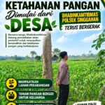 Anggota Polsek Singgahan Polresta Tuban Turun Cek Tanaman jagung Warga di Desa Mulyorejo