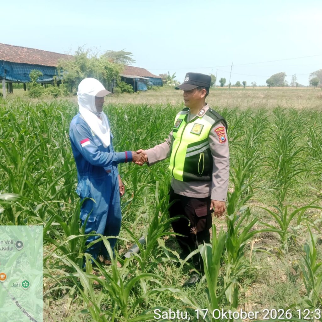 Polri Dukung Astacita, Polsek jenu Polres Tuban Turun Cek Tanaman Jagung Warga di Desa Socorejo