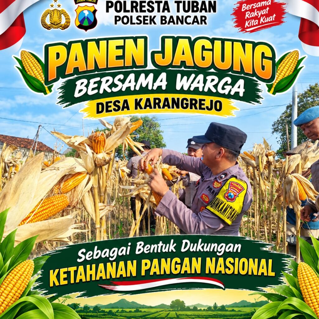 Dukung Ketahanan Pangan Nasional, Briptu Dodi Eko Anggota Polsek Bancar Ikut Panen Jagung Bersama Warga Karangrejo
