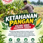 Polsek Soko Polresta Tuban Turun Langsung Cek Tanaman Jagung Warga