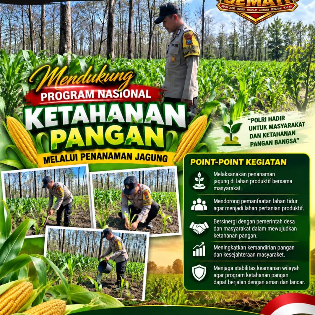 Polsek Parengan Polresta Tuban Pantau Lahan Jagung Warga Desa Pacing Dukung Program Astacita
